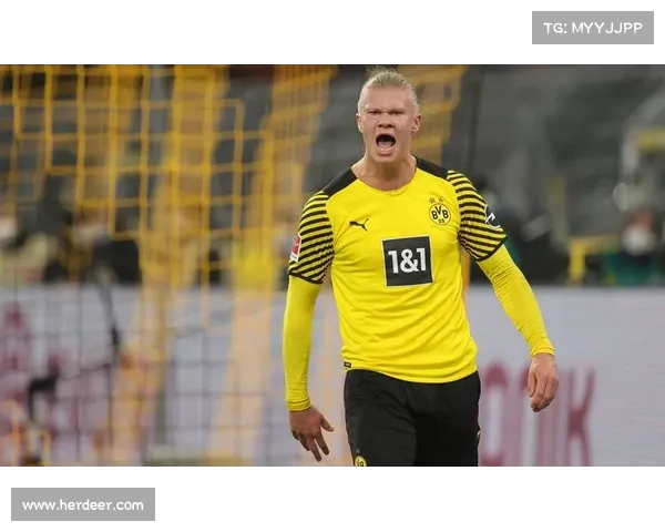 德甲联赛精彩赛事回顾与球员表现分析全方位解读 德甲联赛精彩赛事回顾与球员表现分析全方位解读